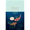 Macmillan Collector's Library Siddhartha: Hermann Hesse