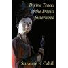 Three Pine Press Divine Traces of the Daoist Sisterhood: Records of the Assembled Transcendents of the Fortified Walled City: Records of the Assembled Transcendents of ... Walled City by Du Guangling (850-933)
