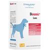 Dynamopet DINAMIC LARGE 20STICK 12G