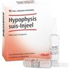 Guna Heel Hypophysis Suis Injeel 10 Fiale