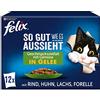 FELIX Ottimo come sembra cibo per gatti bagnato in gelatina, mix di varietà, confezione da 6 (6 x 12 sacchetti da 85 g)