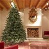 Enzo De Gasperi EDG Enzo de Gasperi Albero di Natale Pino Spark 300 cm con 10000 mini led