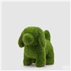 Enzo De Gasperi EDG Enzo de Gasperi Decoro Erba Cane Medio 48x30x50 cm