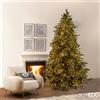 Enzo De Gasperi EDG Enzo De Gasperi Albero di Natale Pino Argentato H270 cm con 6500 Mini Led