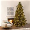 Enzo De Gasperi EDG Enzo De Gasperi Albero di Natale Pino Argentato H300 cm con 8500 Mini Led