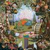 The Expert Vivid Visions (Vinyl LP) 12" Album