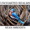 Sean Imboden Uncharted Realms (CD)