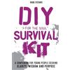 Raoul Festante DIY SURVIVAL KIT: A companion for young people seeking resilience, clarity and wisdom