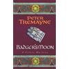 Headline Home Badger's Moon (Sister Fidelma Mysteries Book 13): A sharp and haunting Celtic mystery