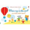 Usborne Who's up in the Air? (Usborne Baby Books): 1