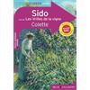 Belin Education Sido: Suivi de Les vrilles de la vigne