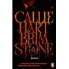 Penguin TB Verlag Brimstone - Königin der Finsternis. Krieger der Wölfe: Roman - Die ersehnte Fortsetzung des Romantasy-Bestsellers 'Quicksilver'. Aktualisierte Auflage: 2