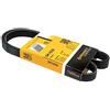 CONTITECH 5PK1030 Cinghie Trapeiz