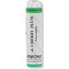 TESLA Sas di Dr.Zucchi & ARMONIC 06 CHERRY PLUM 70GR TE