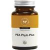 CENTO FIORI Srl PEA PHYTO PLUS 60CPS VEGETALI