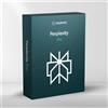 Perplexity Pro