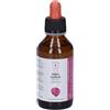 pdmtobemaintained Horti Celati Ribes Nigrum 100 ml Soluzione orale