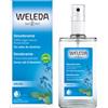 WELEDA ITALIA Srl DEODORANTE SPRAY SALVIA 100ML