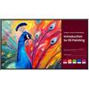 BENQ MON 65DS UHD 4K HDMI 800NI PANTONE 8GB 64GB HDMI 24/7 AND13 SH6504