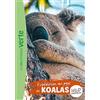 Hachette Jeunesse Expédition au pays des koalas: 12