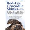 Pesa Publishing red eyed crocodile skink Red Eye Crocodile Skinks as pets. Red Eye Crocodile Skink Facts and Information. Red-Eye Crocodile Skink Care, Behavior, Diet, Interaction, Costs and Health.