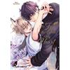 Hayabusa The Fox That Stole My Heart: Erotischer Yaoi-Einzelband im Fantasy-Setting - für Leser*innen ab 18 und mit exklusiver SNS Card in der 1. Auflage