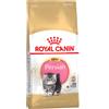 Royal Canin Breed Royal Canin Persian Kitten Crocchette per gatto - Set %: 2 x 4 kg
