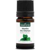 La Compagnie des Sens MENTA DEI CAMPI (Mentha arvensis) BIO - 5mL - Olio Essenziale di Qualità Premium - 100% Puro, Naturale, Chemiotipizzato e Integrale