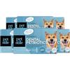 Petstile Dental PetBiotics - Integratore Naturale per la Salute Orale dei Cani (Polvere Giornaliera con Probiotici ed Erbe) - Alito Fresco, Livelli Sani di Placca, Salute delle Gengive e dell'Intestino