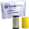 Trade-Shop Set di filtri dell'aria 2 in 1 compatibile con John Deere D100 D105 D110 D130 D140 D160 D170 E100 E120 E130 E140 E150 L105 L107 L108 L120 L 145 S100 kg