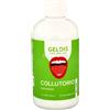 GELDIS COLLUTORIO QUOTIDIANO MEL500ML