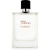 Hermès Hermes - Terre D'Hermes After Shave 100ml