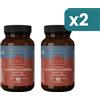 Terranova Ashwagandha Fermentata Integratore Controllo Stress 2 confezioni da 50 Capsule Vegetali