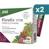 Floradix Integratore Energetico Con Ferro E Vitamine 2 confezioni da 20 Stick