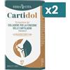 Erba Vita Cartidol 2 confezioni da 45 Compresse