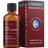 Mystic Moments | Aloe & Cucumber Fragrance Oil 100ml - Perfetto per saponi, candele, bombe da bagno, bruciatori d'olio, diffusori e articoli per la cura della pelle e dei capelli