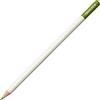 Tombow CI-RD16 - Penna colorata IROJITEN verde moss