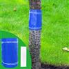 Panngu Anelli di colla, 3 metri, lavagne blu, autoadesivo, colla cingolata per alberi da frutto, formiche, anello per albero di ciliegio, melo, prugna