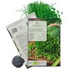 growgreens Semi di erba cipollina biologiche - Semi di erbe aromatiche da coltivare in cucina, sul balcone, sul orto rialzato e in giardino