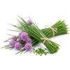 Generico Semi di Erba Cipollina da Piantare | Molteplici Semi di Allium Schoenoprasum per Orto Domestico Balcone Giardino e Vaso | Sementi Aromatiche da Cucina