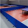 Generic Set di deflettori da ping pong autoportanti, 36/9/12 pannelli, portatile, per scuole, parchi giochi e cortili, 140 x 72 cm