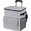 AwnsIMfreien Borsa frigo da spiaggia con ruote, borsa frigo da 35 l con spazio multitasche, isolata a tenuta stagna con ruote grigia, borse