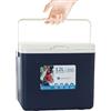 Gungtj Insulated Cooler Box, 12 l Car Organizer, Hot Cold Food Container, Ice Retention Basin, (12,4 x 9,06 x 10,04 pollici), Perfect for Picnic, Fishing, and Beverages Necessities