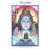 Temple of the Divine Mother, Inc. Shiva Beginner Puja