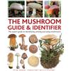 Lorenz Books The Mushroom Guide & Identifer: An Expert Manual for Identifying, Picking and Using Edible Wild Mushrooms Found in the British Isles