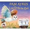 TWO HOOTS I am Emily the Owl : A tale from our wild and wonderful night skies