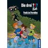 Franckh-Kosmos Die drei ??? Kids, 1, Panik im Paradies (drei Fragezeichen)
