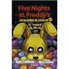 Roca Editorial Five Nights at Freddy's | Escalofríos de Fazbear 1 - El parque de bolas