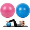 Carehabi Set di 2 Palla Pilates Piccola 25cm, Palla da Ginnastica Antiscivolo e Antiscivolo Pilates Ball per Yoga, Fitness, Esercizi Addominali, Equilibrio e Fisioterapia (Rosa e Blu)