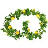 Generic Ghirlanda di limone artificiale, da appendere, in rattan di limone, con foglie di eucalipto, per porta d'ingresso, decorazione per la casa (stile 2: 2 m)